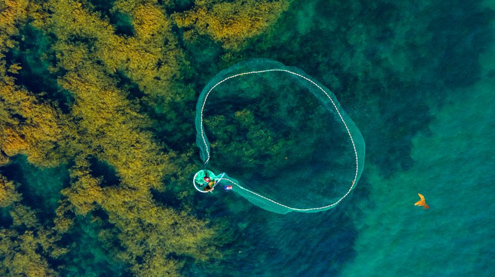 Photograph by Minh Tú Nguyễn