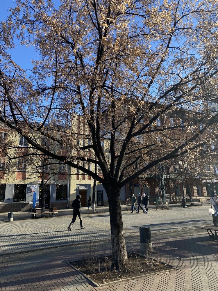 Photograph by Юлия Литвинова