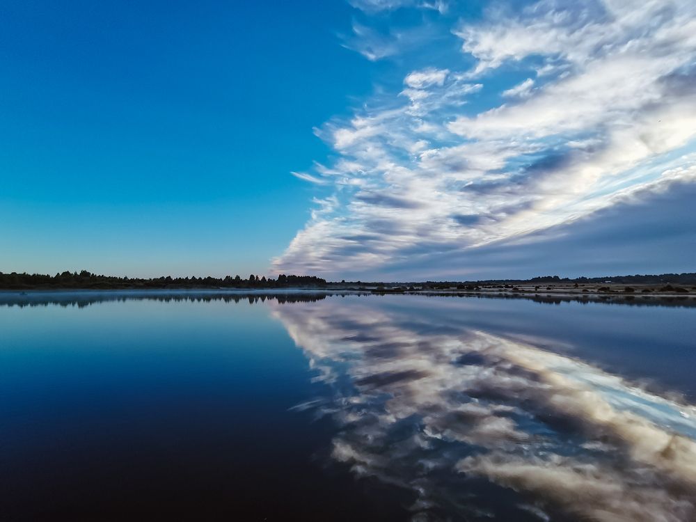 Безымянный пруд / Nameless Pond