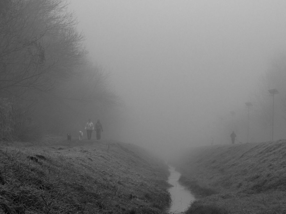 Фотография автора Denes Doma