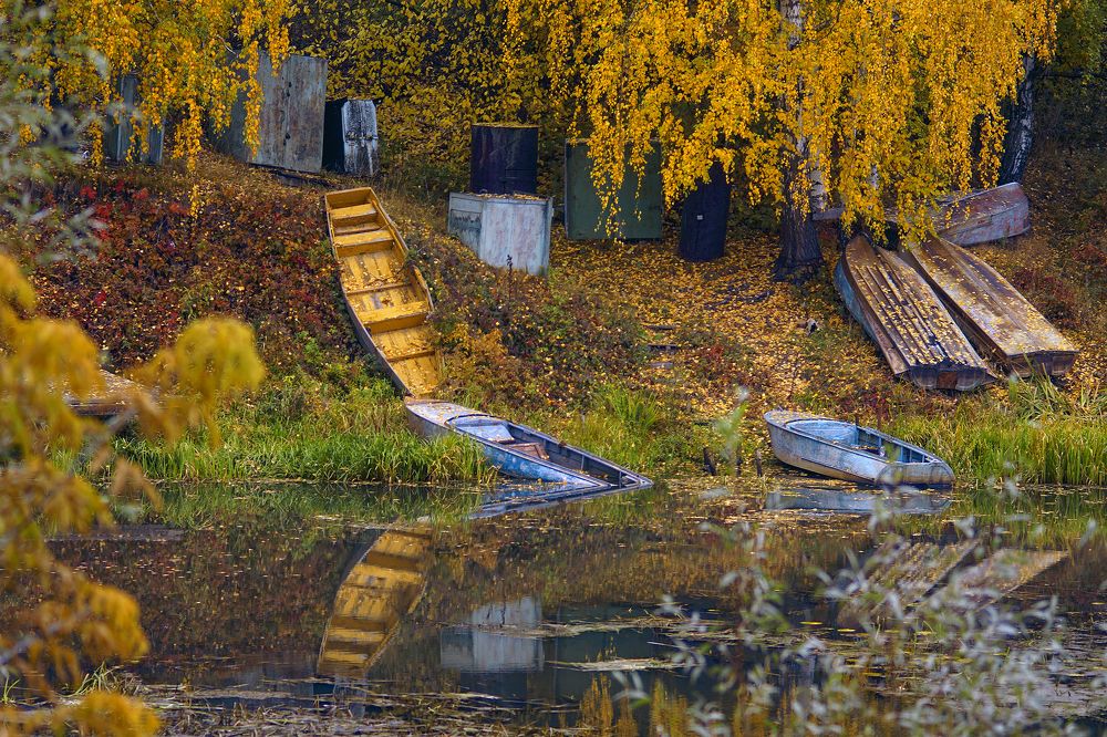 Photograph by Светлана Ульянова