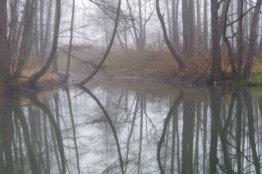 Photograph by Наташа Фишер