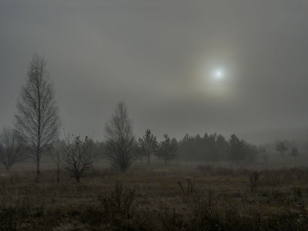 Туманный восход