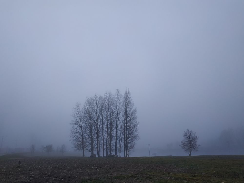 Photograph by Tatiana