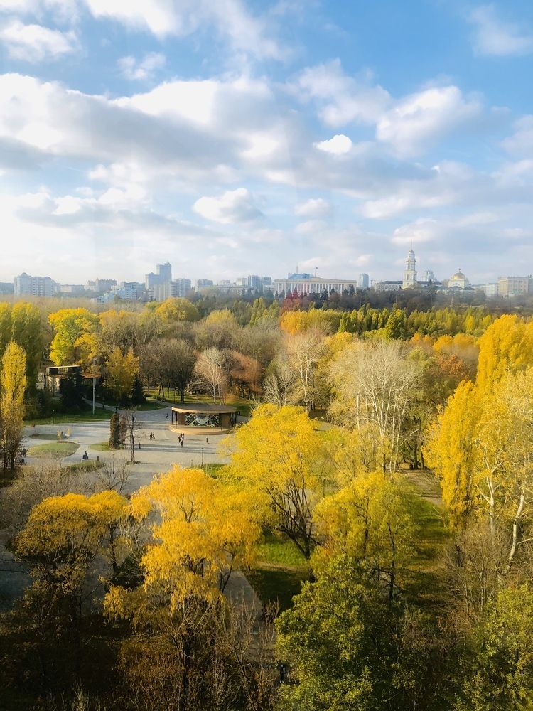 Фотография автора Литвинова Ольга