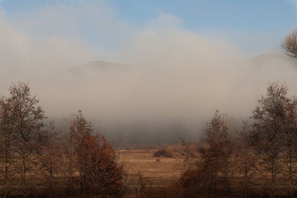 Photograph by Олеся Бучацька