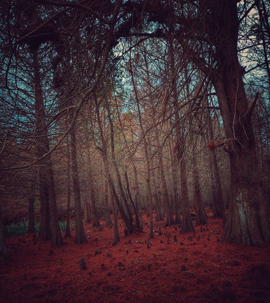 Photograph by Khiari aya