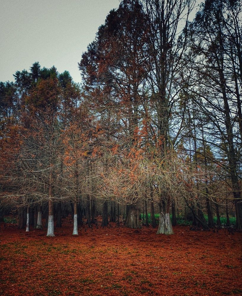 Photograph by Khiari aya