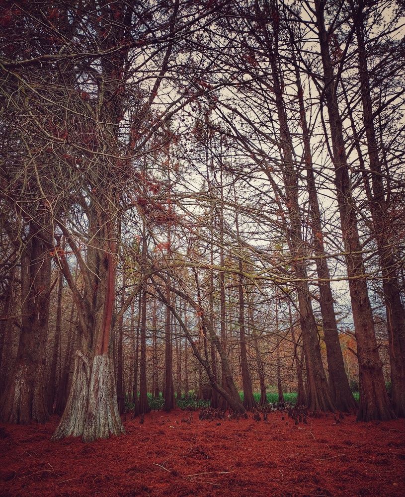 Photograph by Khiari aya