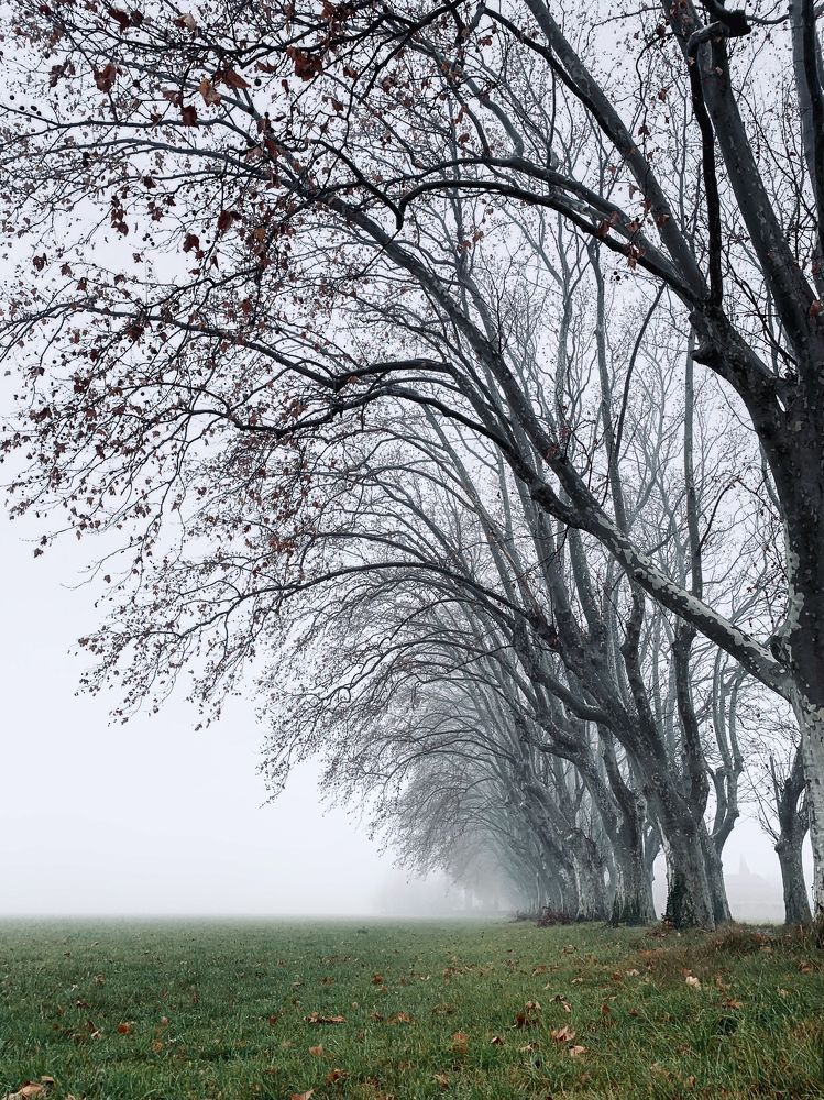 Photograph by Victoria Terme