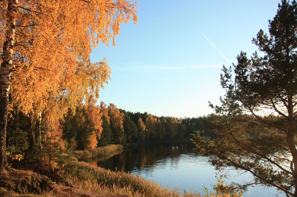 Photograph by Анастасия Павлова