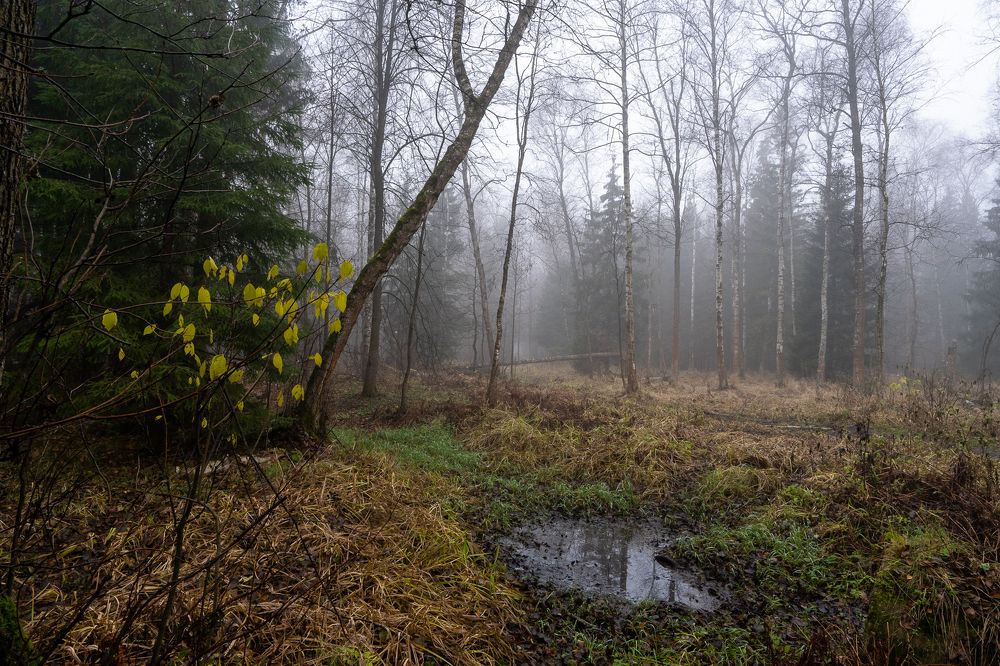 Photograph by Баландин Дмитрий