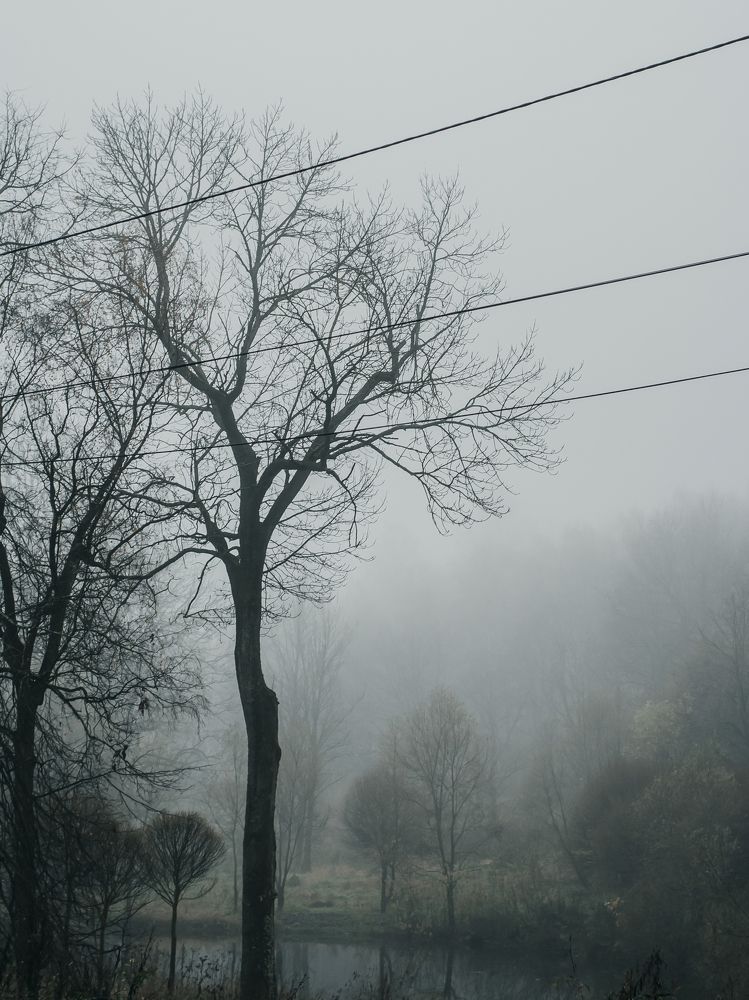 Photograph by Ольга Чуманова