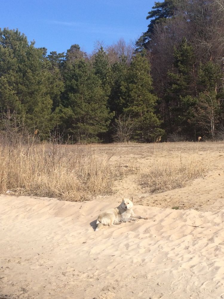 Фотография автора Литвинова Ольга