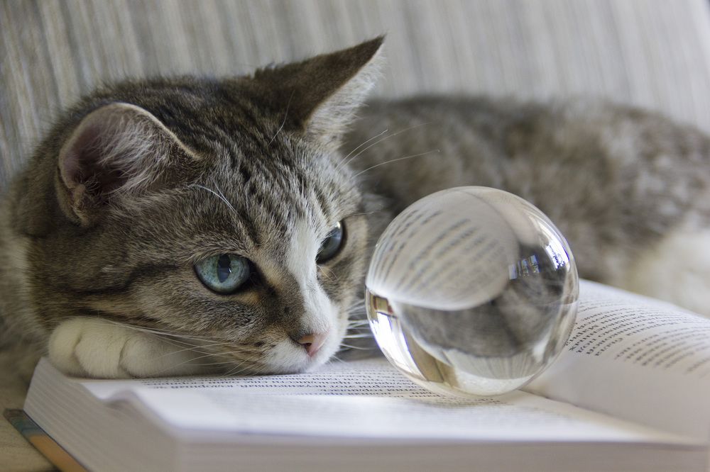 Photograph by Anna Gapanovich