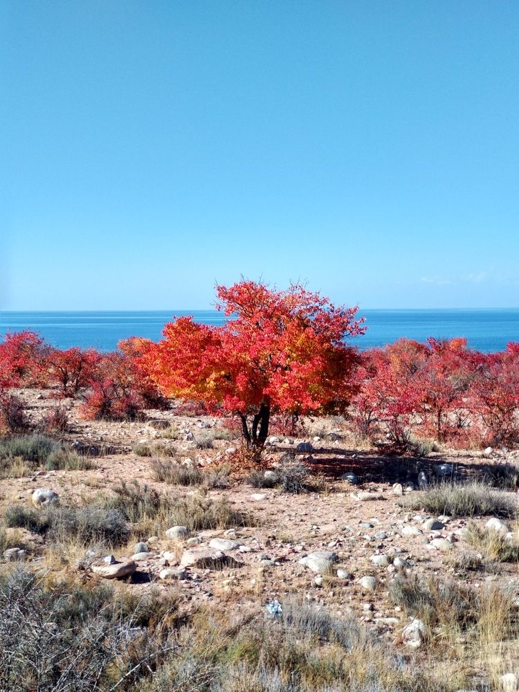 Photograph by Наиля Омарова