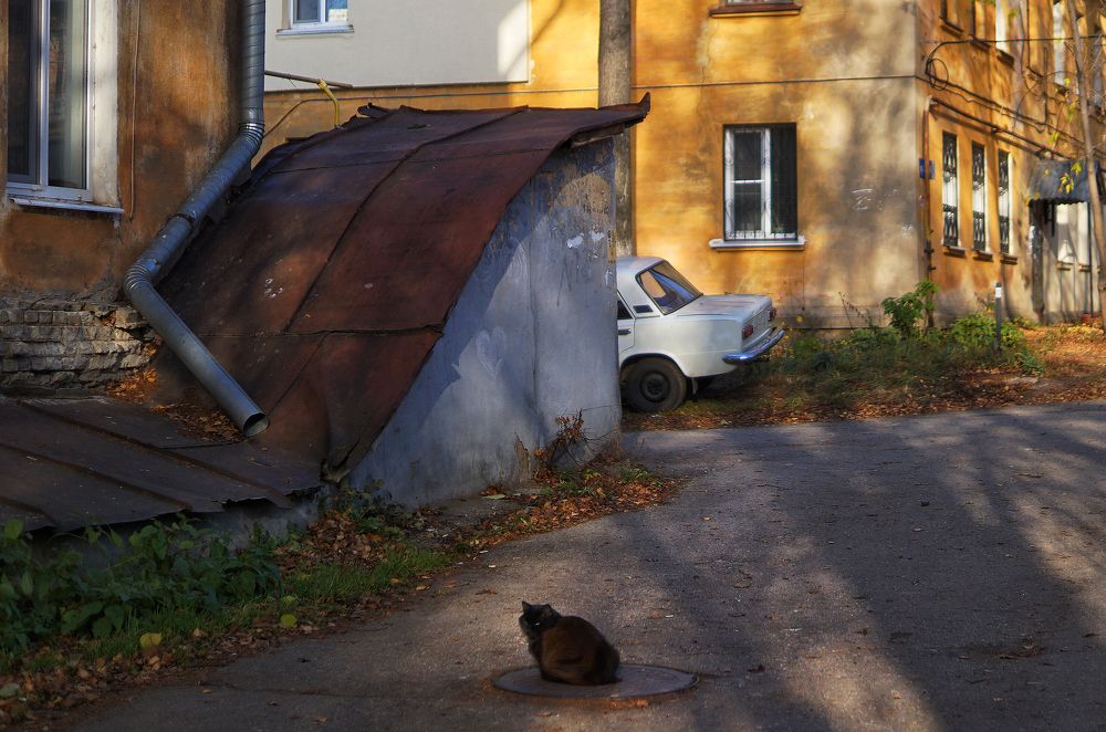 Исчезающий мир