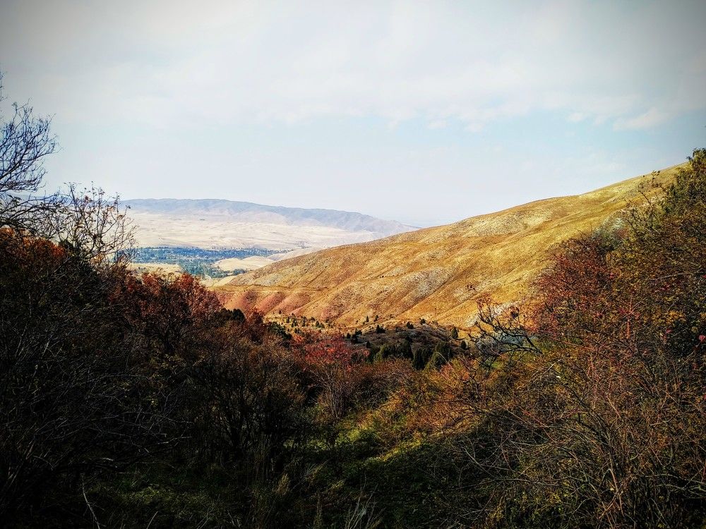 Photograph by Наиля Омарова