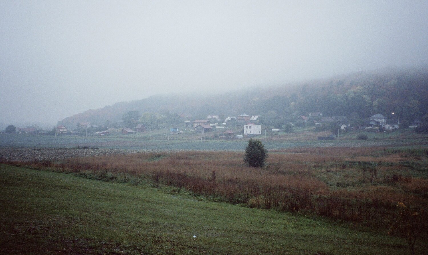 Photo #6721582
