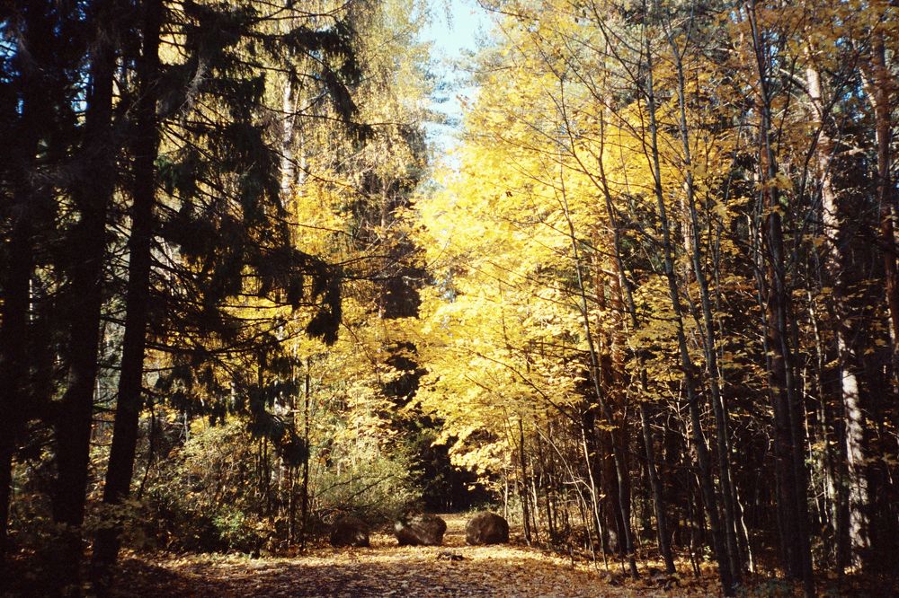Photograph by Денис Марченко