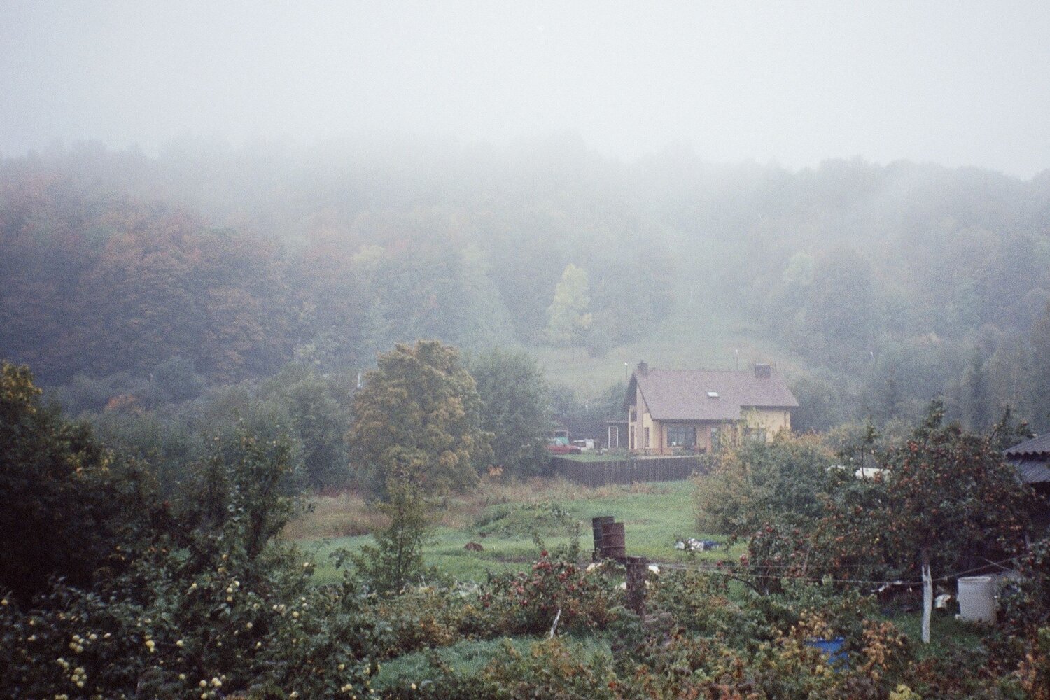 Photo #6721602
