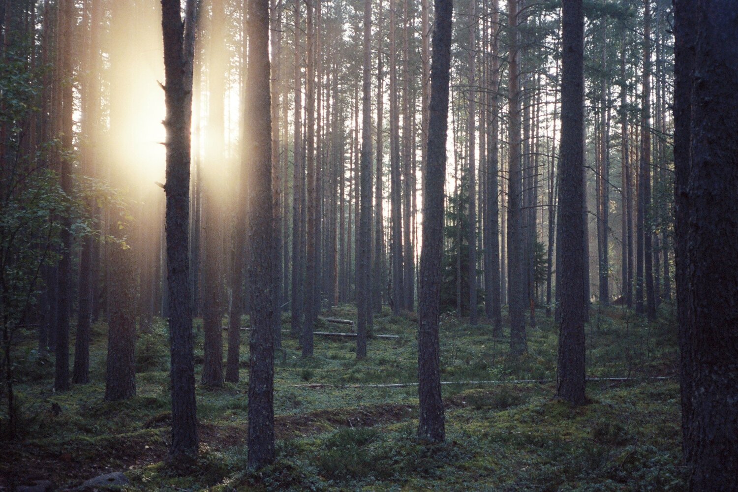 Photo #6721603