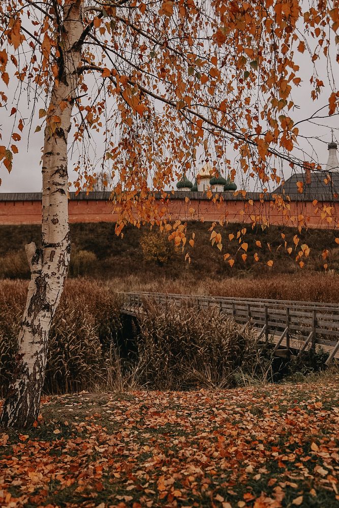 Photograph by Olga Vasilkova