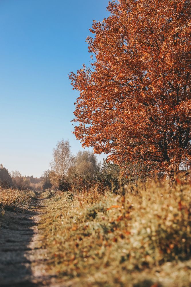 Photograph by Olga Vasilkova
