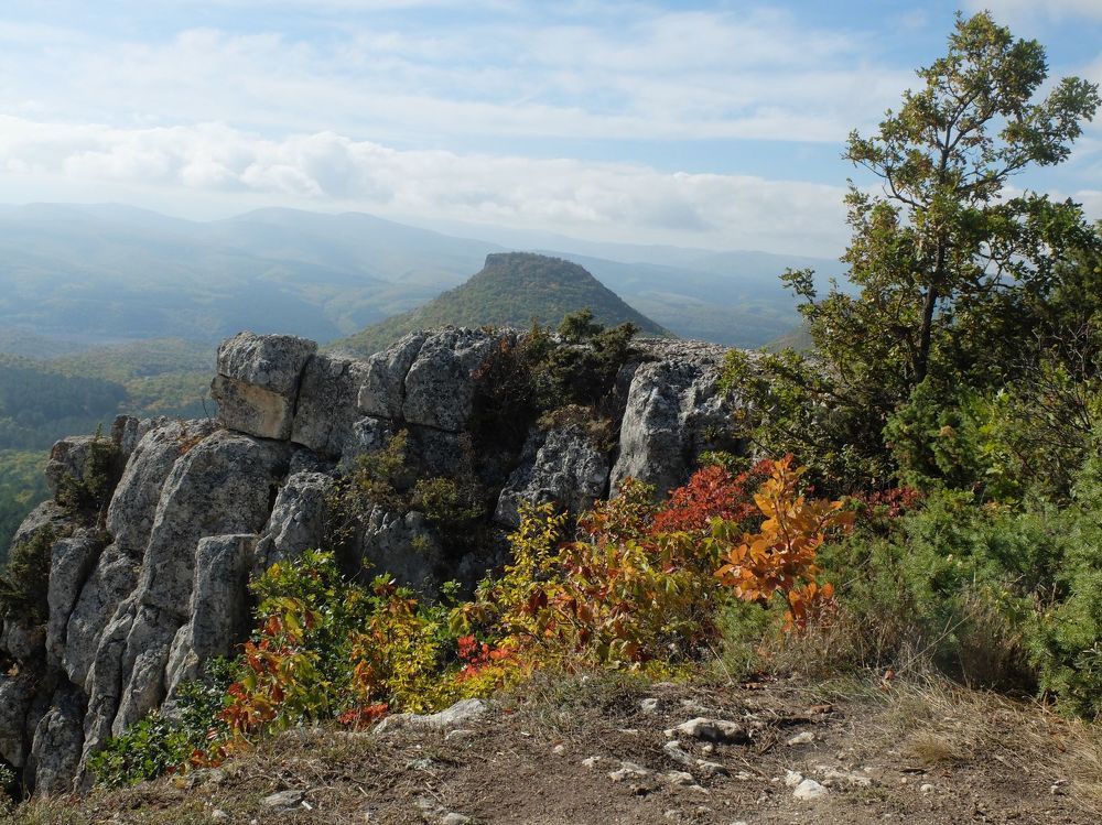 Photograph by Ираида Стародубцева