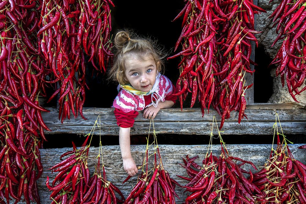 Фотография автора ESENGÜL ALICI