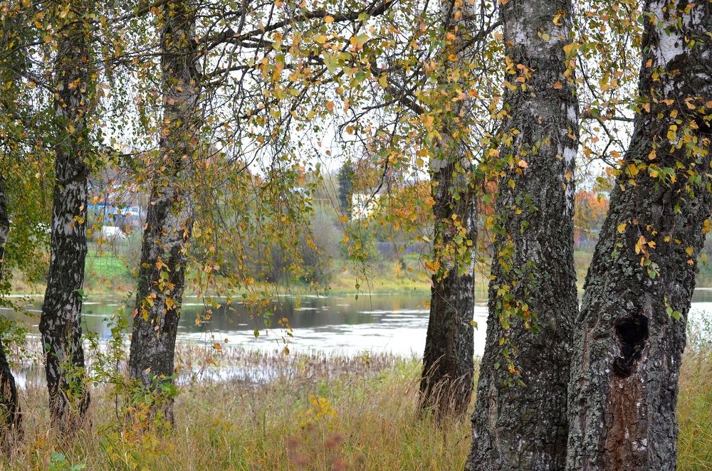 Photograph by Кира Орлова