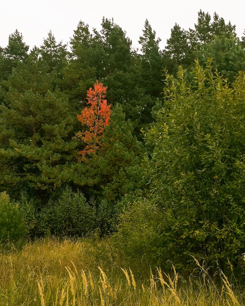Photograph by Наталья Балабанова