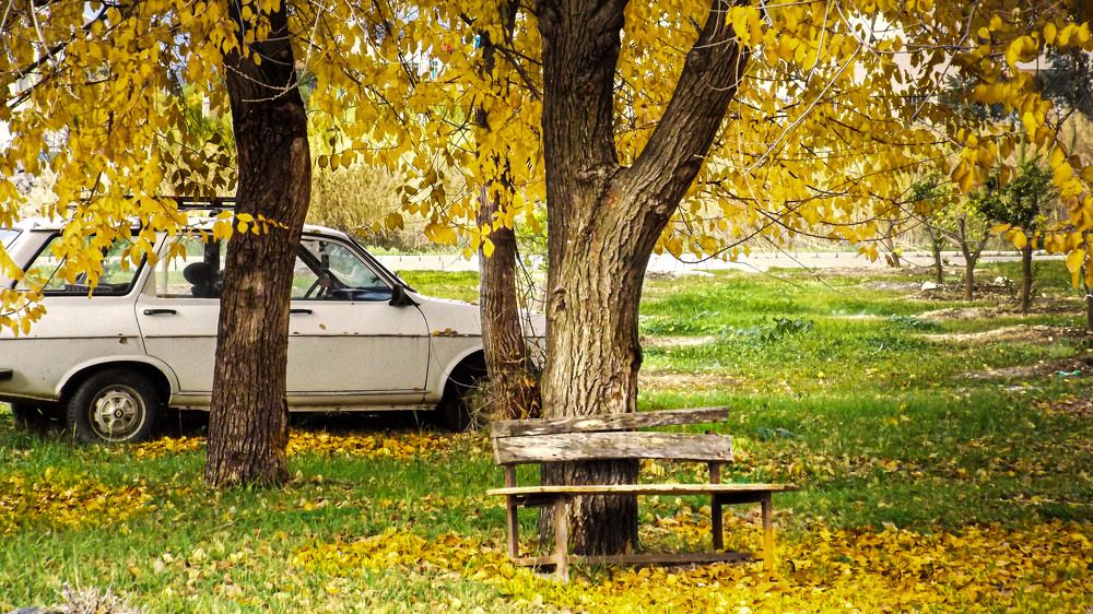 Autumn
