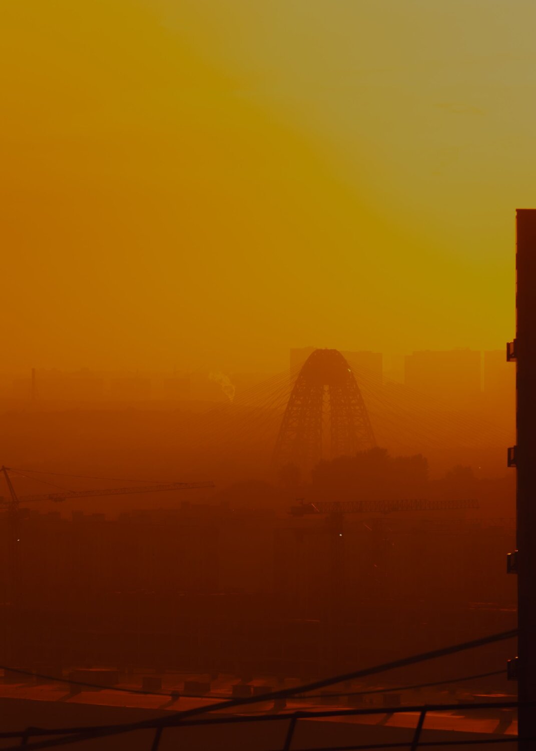 Photo #6721692