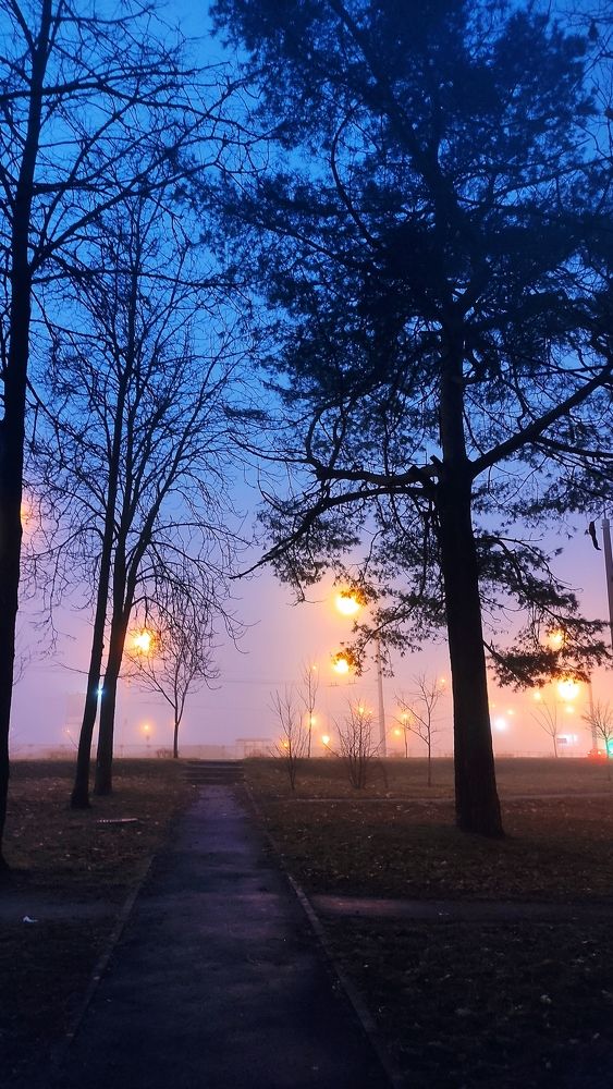 Photograph by Ольга Черняк