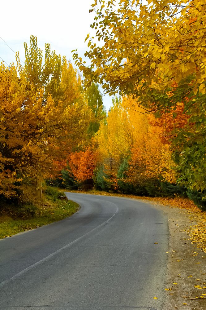 Photograph by farzad talanavard