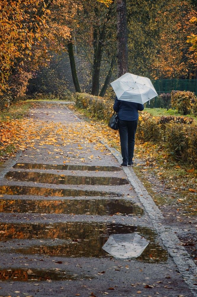 Photograph by Екатерина Рябинина