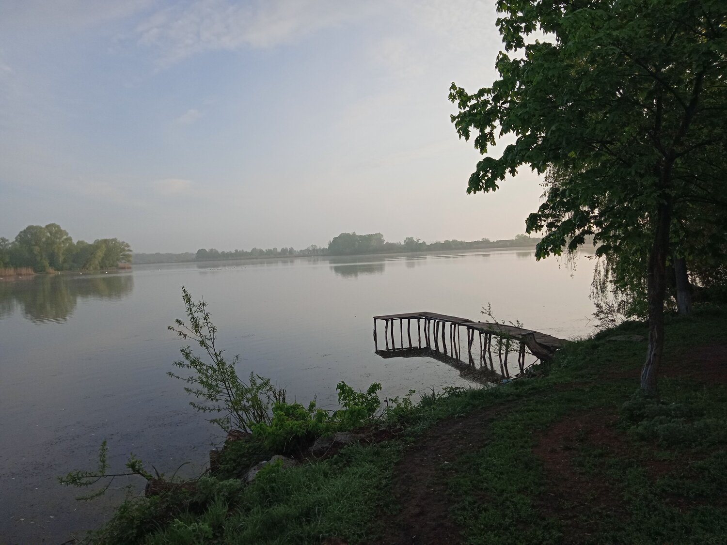 Photo #6721783