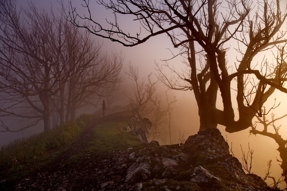 Photograph by Renáta Kuljovská