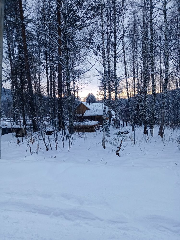 Photo #6721829