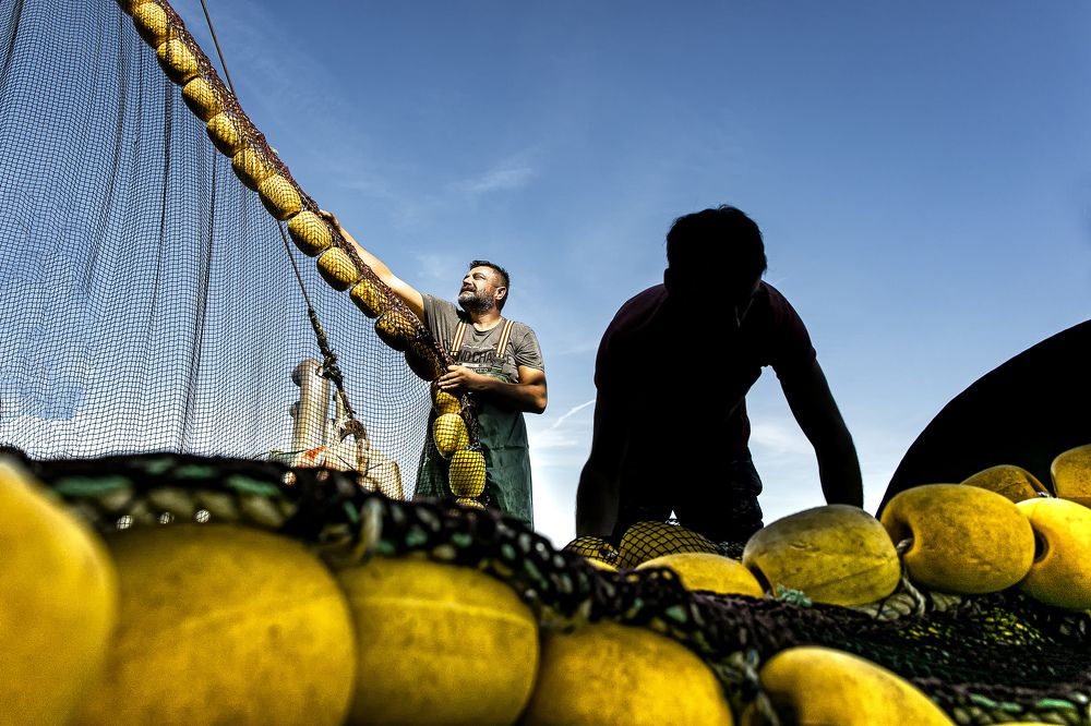 Фотография автора ESENGÜL ALICI