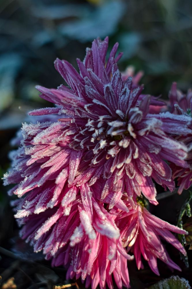 Photograph by Светлана Васина