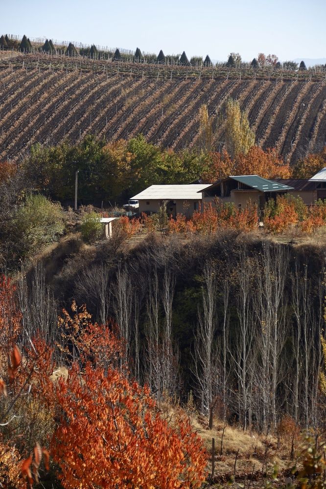 Photograph by Юлия Голубкова