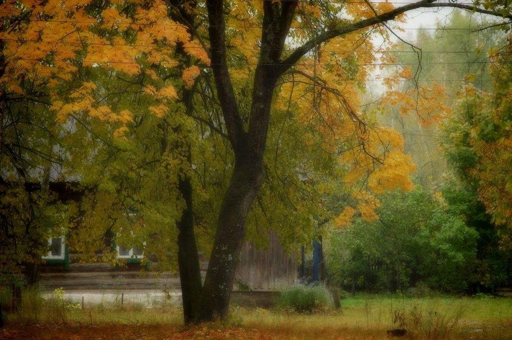 Photograph by Наталья Кащеева