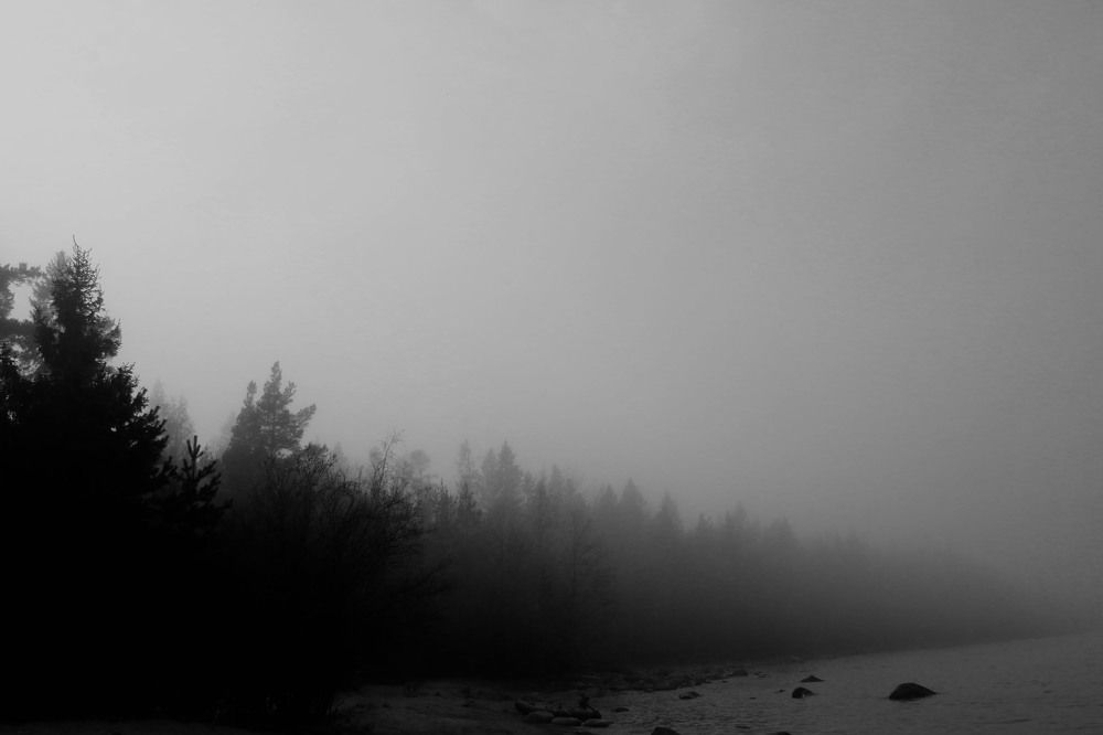 Фотография автора Ирина Гентош