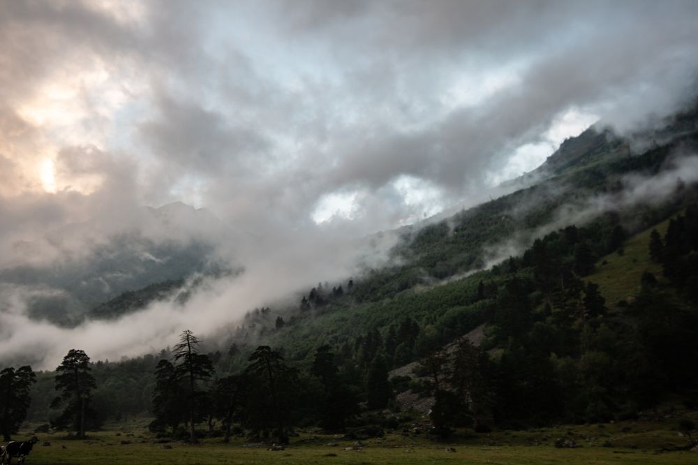 Фотография автора Ирина Гентош