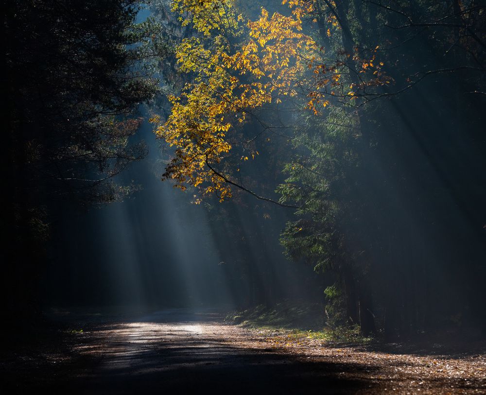 Photograph by Ingemars Vekteris