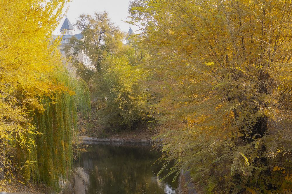 Фотография автора Anastasia