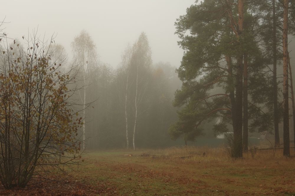 Photograph by Наталья Кащеева