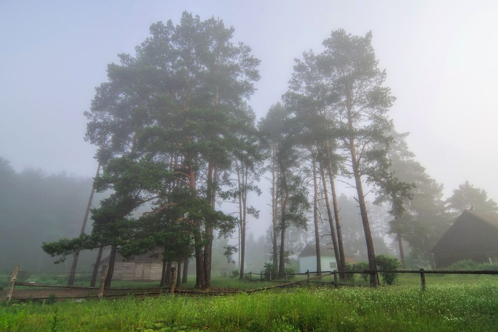 Photograph by Наталья Кащеева